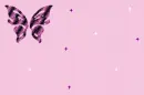 purple butterfly