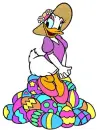 daisy