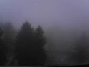 Foggy day
