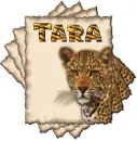 Tara tiger