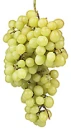 green grape bunch