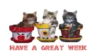 HAVE A GREAT WEEK