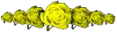 yellow roses