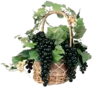 grape basket