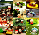pucca