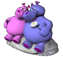 hippos on a rock