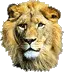 lion noble