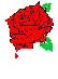 bleed out rose