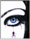 spider eye