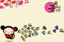  pucca   