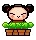  pucca   