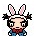  pucca   