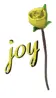 rose text joy