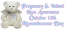 Pregnancy & Infant Loss Awareness