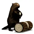 wood chip beaver
