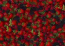 mixed berry backgound