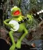 kermit