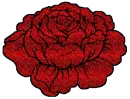 Rose.
