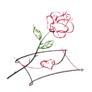 rose