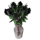 dozen black roses