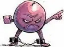 mad grape