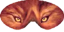 wolf mask