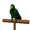 parrot perch