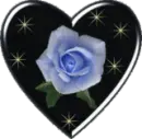dark rose