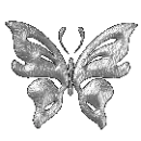 silver butterfly
