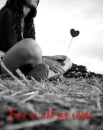 love is all you need