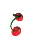 cherry rotate