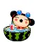 pucca