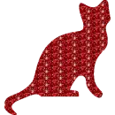 gatto