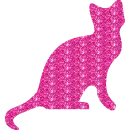 gatto