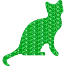 gatto