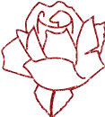 rosa