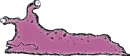 purple slug