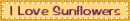 i love sunflowers