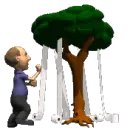 tp tree