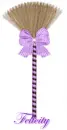 Purple Broom - Felicity