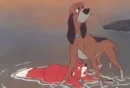 fox and the hound