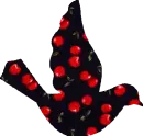 CHERRY DOVE