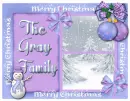 Snowy window Gray Family
