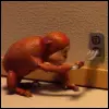 monkey fork electric shock