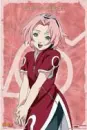 sakura