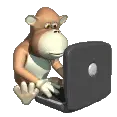 ape with laptop