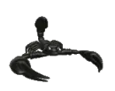 scorpion sting