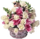 basket of roses