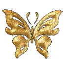 gold butterfly