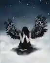 fallin angel